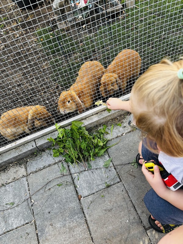 Tierparadadies Günzburg