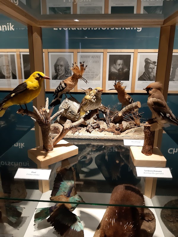 Naturmuseum Ulm