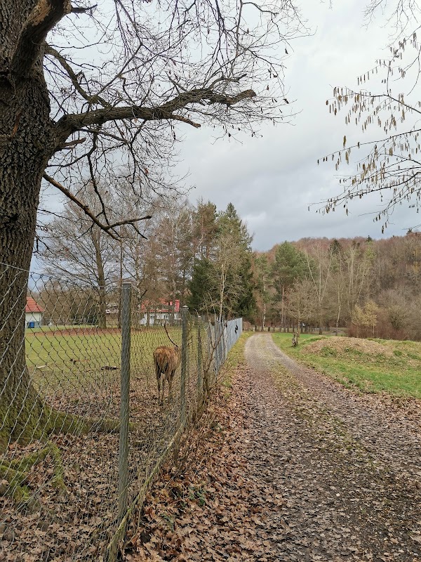 Hirschgehege Mietingen
