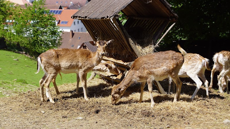 Wildtiergehege