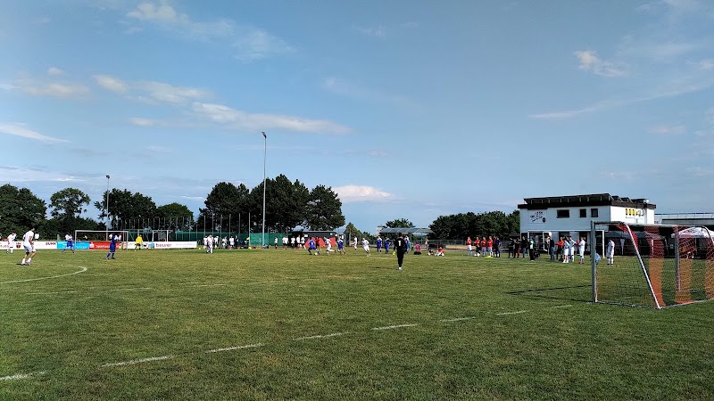 VfB Ulm e.V.