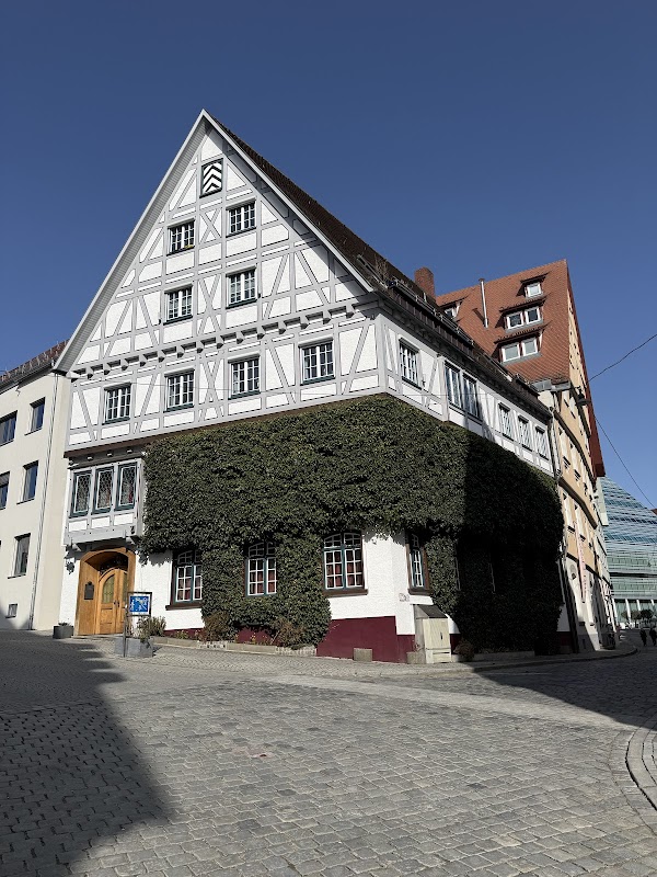 Die Einsteins, Ulm