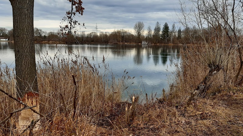 Nördlicher Waldsee Senden