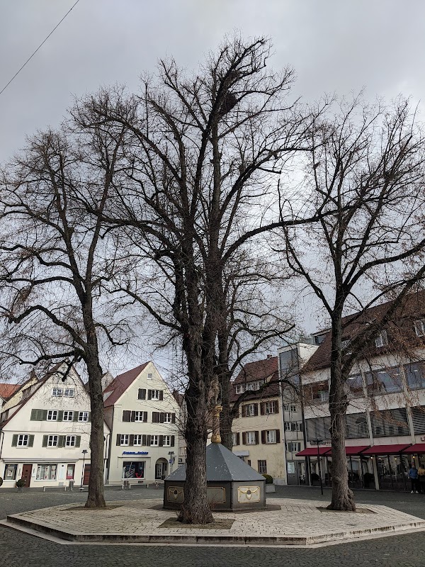 Kinderspielplatz Paradiesgasse in Ulm Ost