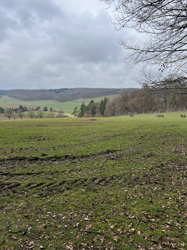 Wildgehege Westerstetten