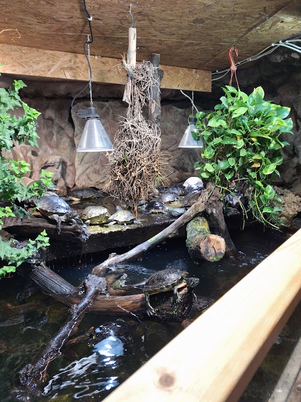Schildkröten- und Reptilienzoo Neu Ulm