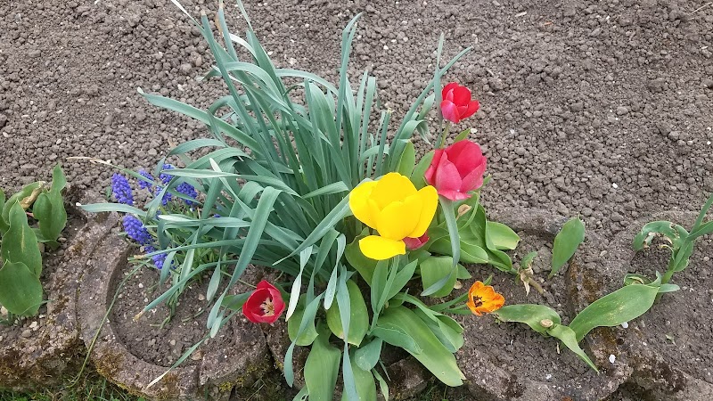 Gartenanlage Ludwigsfeld, Neu-Ulm